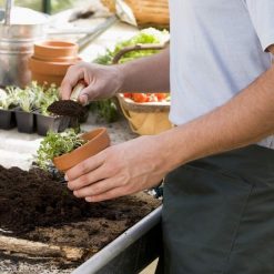 Hot Sale ⌛ Doff Peat Free Multipurpose Premium Compost 15L FWAO00DOF ???? -Everbuild shop unnamed file 931