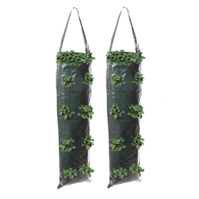 Hanging Flower Plant Growing Tube Bags Twin Pack 264904 Outlet ???? Silverline Tools Hanging Flower Plant Growing Tube Bags Twin Pack 264904 ???? -Everbuild shop unnamed file 945
