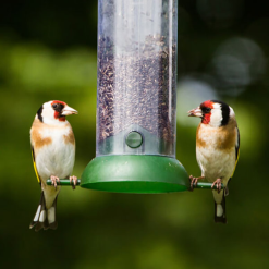 Wholesale ???? Nature's Market Natures Market Wild Bird Food Niger Seed 900g BFNIGER2 ⭐ -Everbuild shop unnamed file 99